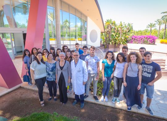 VANICO Ambulatoriale